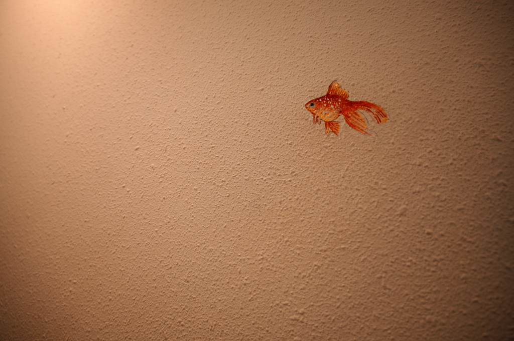 壁に金魚