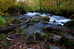 渓流の水の流れ