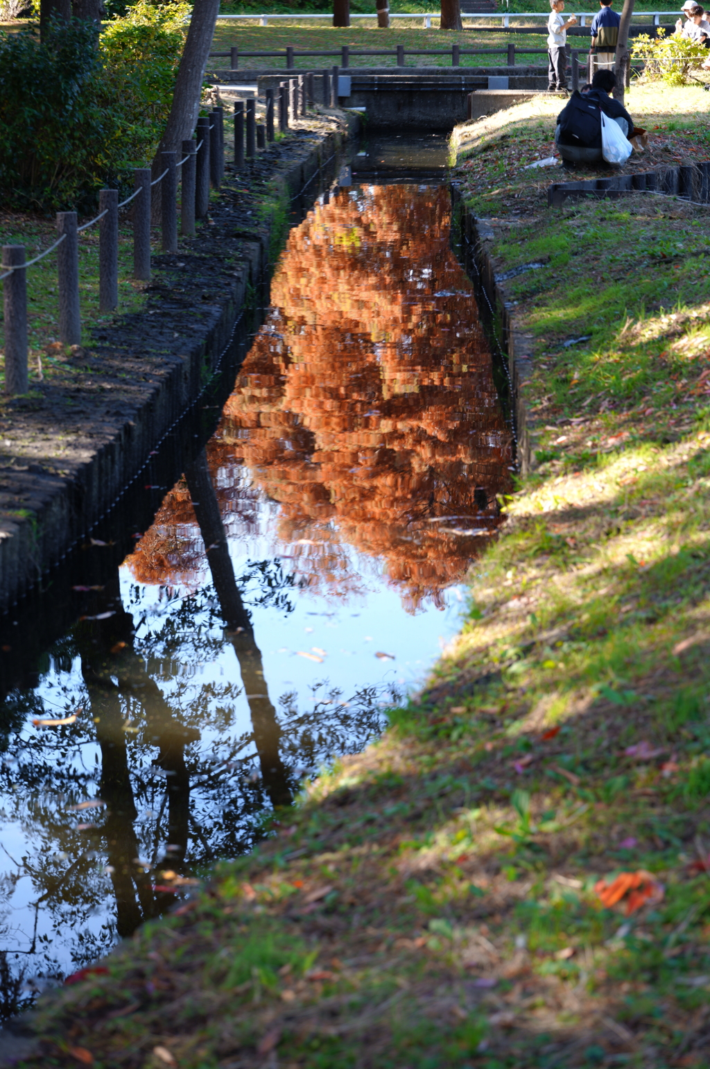 映る紅葉