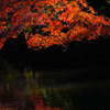 水面の紅葉