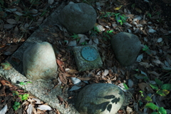 山頂にて