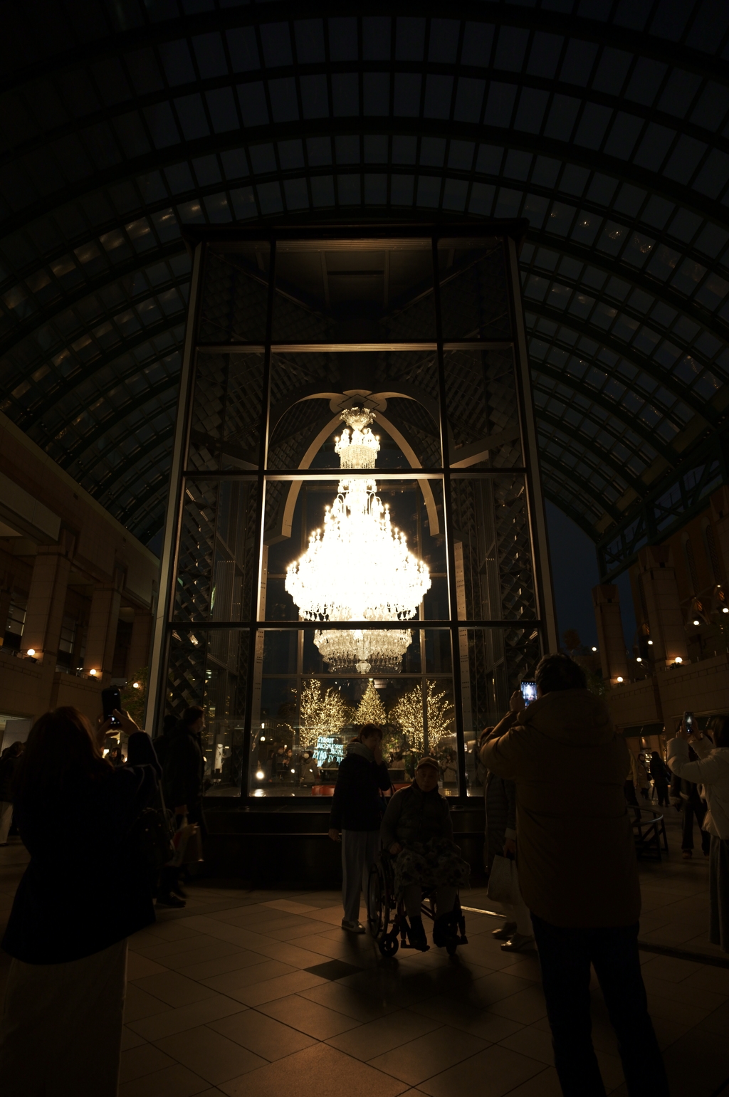 見上げる明かり