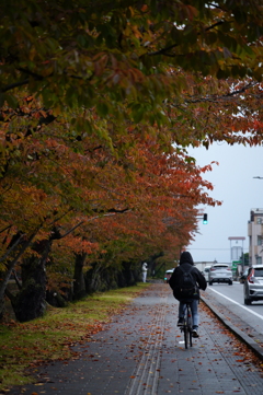 雨の日の自転車