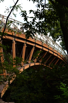 緑の中の橋