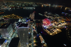 上から見下ろす