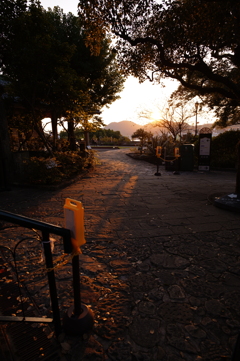 夕日の差し込み