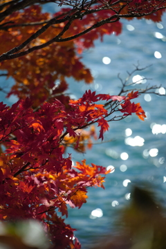 湖の紅葉