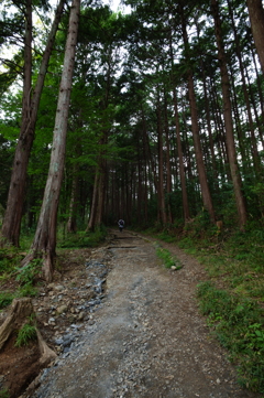 花粉の時期を外して