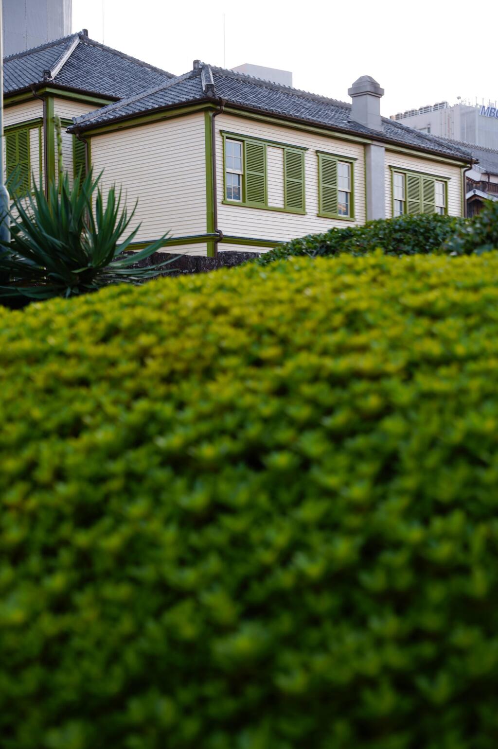 緑の向こうに緑の窓