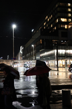 艶やかな雨の夜