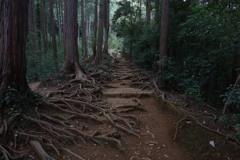 日和田山