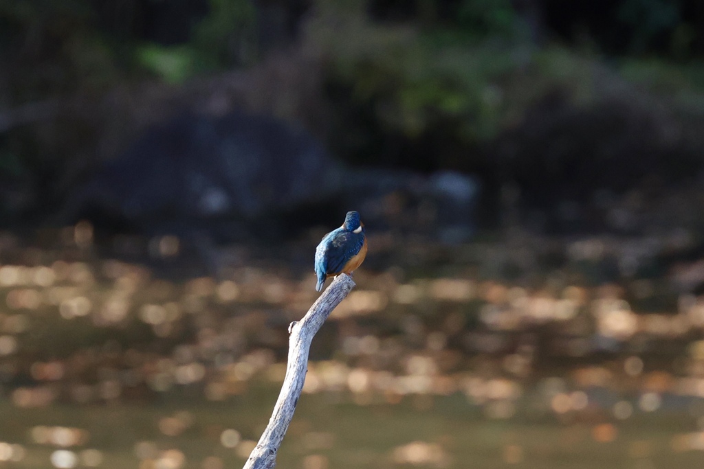 何見てるのかな？