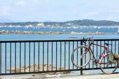 自転車休憩中なり