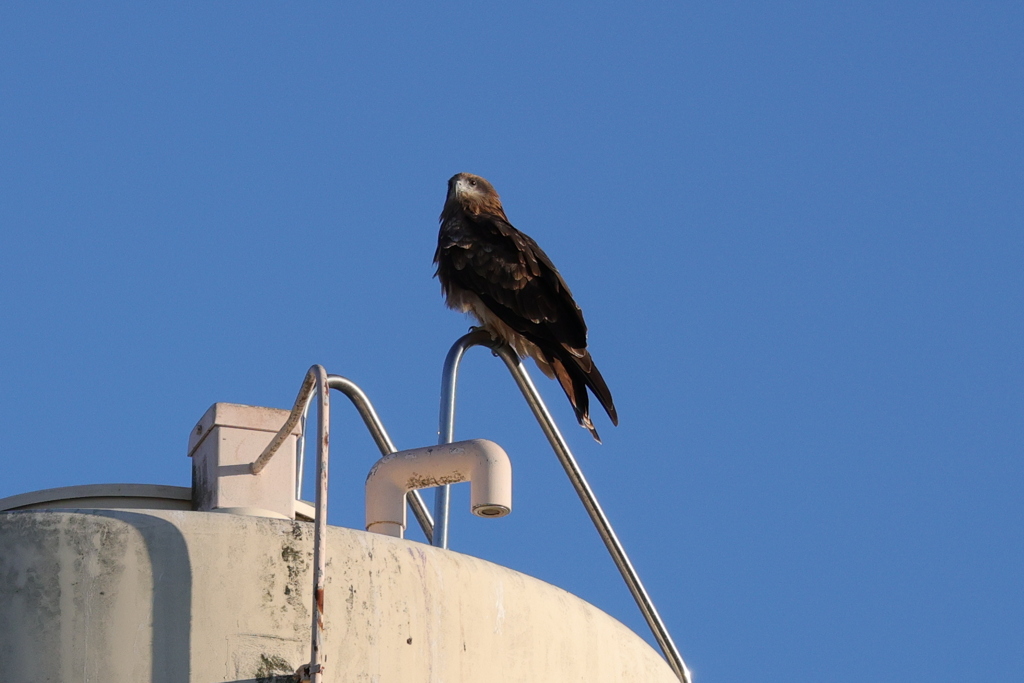 眺めの良い場所で