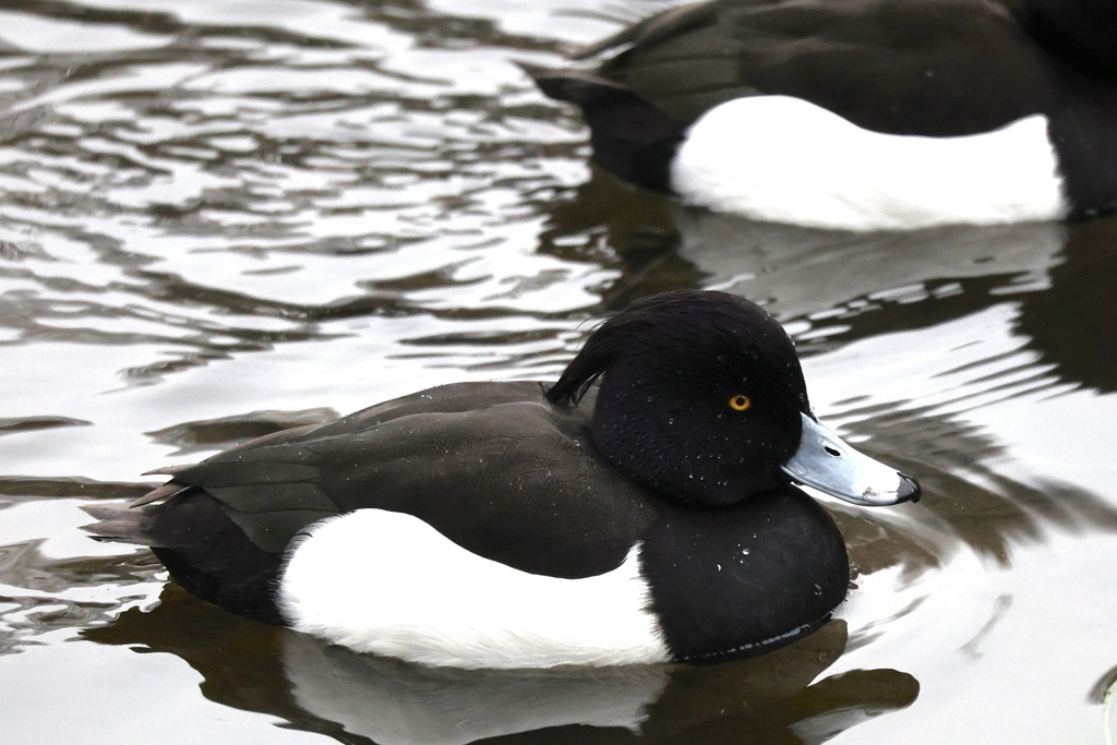 あっ…汗が…止まらない…