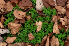 コントラストの綺麗な季節