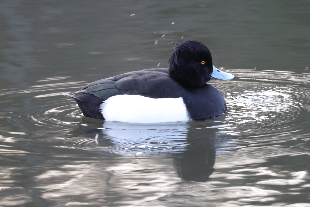 あースッキリしたー
