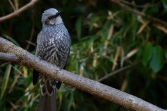 事務所、通してますー？