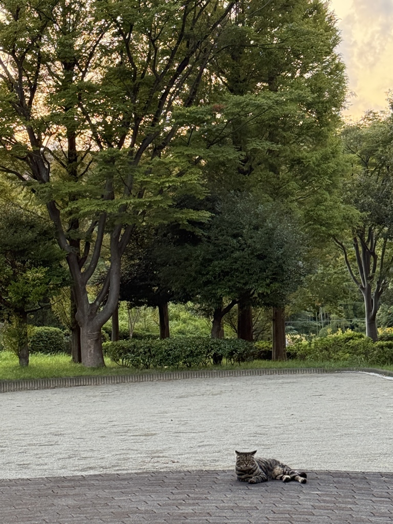 えっ？なに？