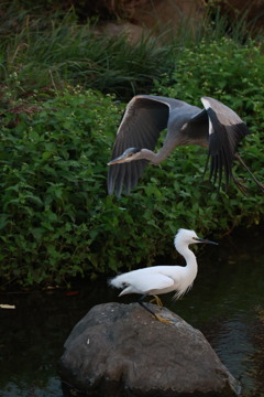 びっくりしたなぁーもー