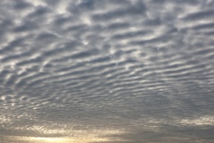 今朝の雲