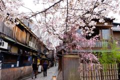 The beauty of Kyoto