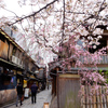 The beauty of Kyoto