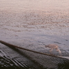 DSCF7225