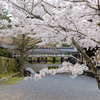 The beauty of Kyoto
