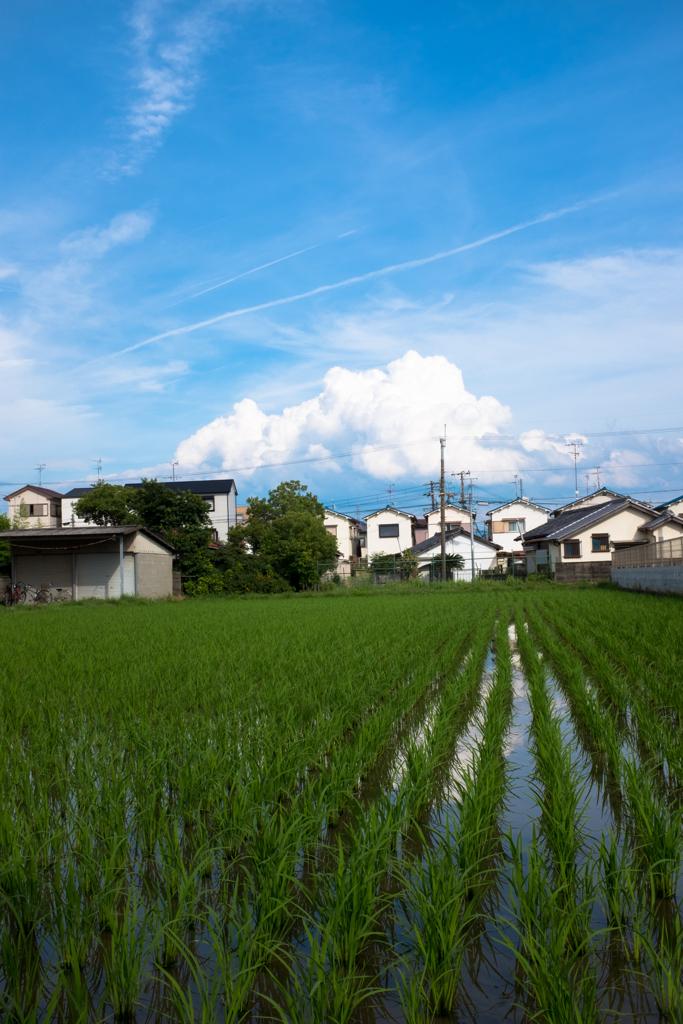 Blue Sky