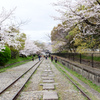 The beauty of Kyoto