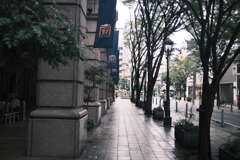Street in the rain