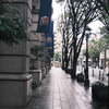 Street in the rain