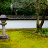 The beauty of Kyoto