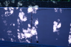 Wall