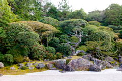 The beauty of Kyoto