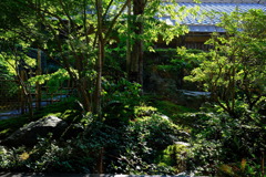 DSCF6877