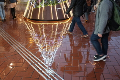 Walking in the rain