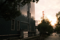 DSCF7239