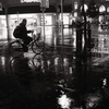 DSCF6443