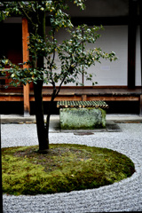Shimogamo