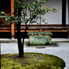 Shimogamo