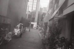 smog