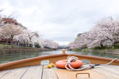 The beauty of Kyoto