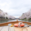 The beauty of Kyoto