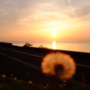 Goodbye The Sun