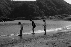 夏の思い出