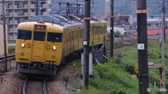 緑の中に黄色列車