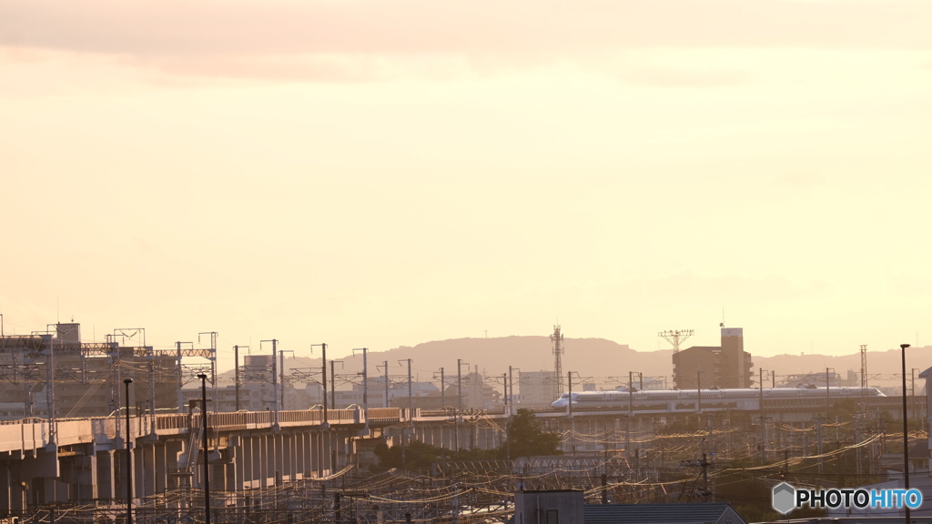 夕陽を進む新幹線