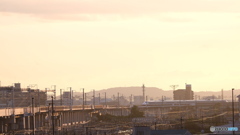 夕陽を進む新幹線